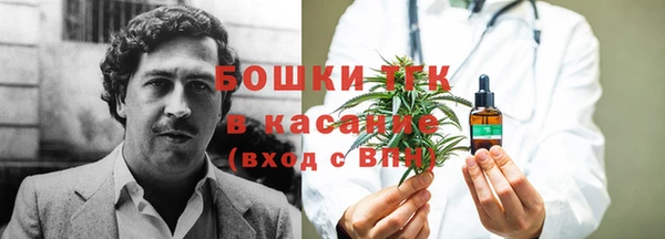 первитин Богородицк