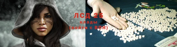 эйфоретик Белокуриха