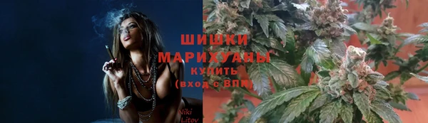 гидропоника Белоозёрский